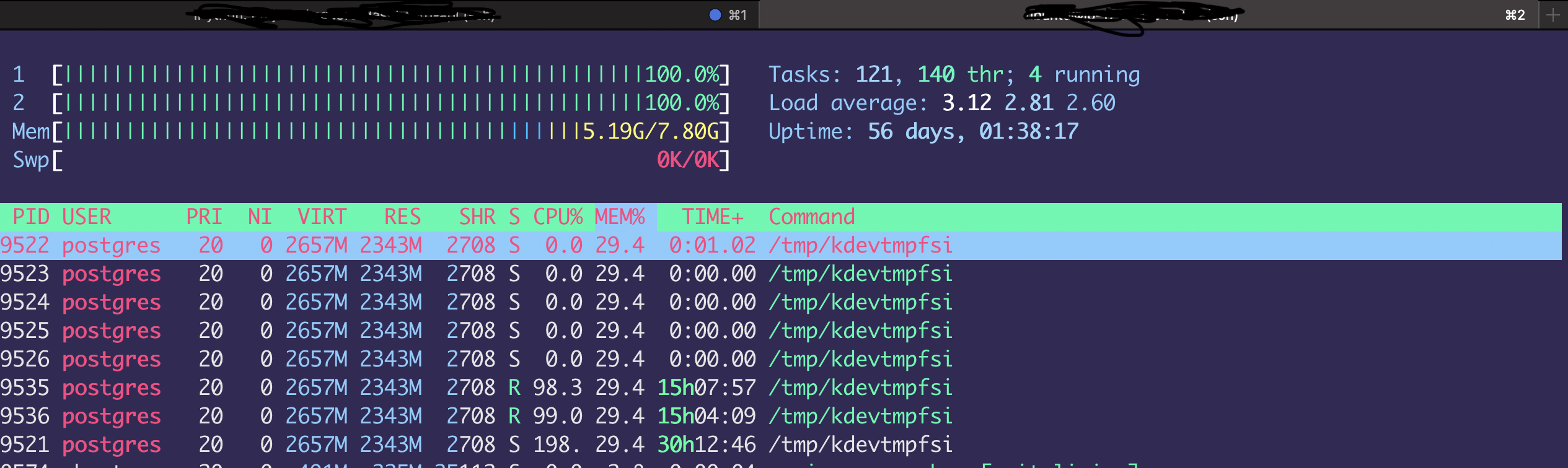 pgminer-htop